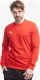 Puma Bluza męska Puma Team Goal Casuals Crew Neck Sweat czerwona 658592 01 L 1