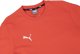 Puma Bluza męska Puma Team Goal Casuals Crew Neck Sweat czerwona 658592 01 L 3