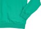 Puma Bluza męska Puma Team Goal Casuals Crew Neck Sweat zielona 658592 05 L 5
