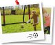 Neo-Sport Bramka do piłki nożnej 180 x 120 x 60 cm NS-463 czarno-czerwona 9