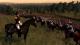 Napoleon: Total War Collection PC, wersja cyfrowa 10