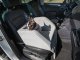DOGGY TRANSPORTER TRIP SKAJ POPIEL 2