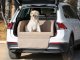 DOGGY R2 ADVENTURE OXFORD BEŻ 2