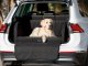 DOGGY R2 ADVENTURE OXFORD CZARNY 2