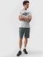 4f T-shirt 4F 4FWSS24TTSHM1155 10S 3