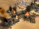 Desert Rats vs. Afrika Korps PC, wersja cyfrowa 3