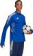 Adidas Bluza męska adidas Condivo 21 Training Top Primeblue niebieska GE5421 XL 5