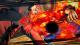 One Piece: Burning Blood - Gold Edition PC, wersja cyfrowa 7