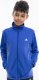Adidas Dres dla dzieci adidas Essentials Big Logo Track Suit niebiesko-czarny HR6408 152cm 3