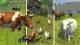 Farming Simulator 2013 - Official Expansion PC, wersja cyfrowa 2