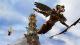 Faery: Legends of Avalon PC, wersja cyfrowa 9
