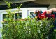 Sourcing HEDGE CUTTER 60CM 40V BARE GH1E0480CA 10