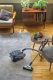 Odkurzacz Hoover Vacuum cleaner Hoover HE722PET 011 4
