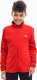 Adidas Dres dla dzieci adidas Essentials Big Logo Track Suit czerwono-czarny IJ6305 128cm 2