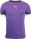 Puma Koszulka męska Puma teamRISE Jersey fioletowa 704932 10 2XL 1
