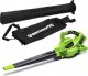 Greenworks Dmuchawa do liści GD24X2BV (GR2405307) 1