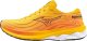 Mizuno Męskie buty do biegania MIZUNO WAVE SKYRISE 5 (J1GC240902) 44.5 3