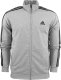 Adidas Dres męski adidas Basic 3-Stripes French Terry szaro-czarny IC6748 S 1