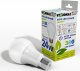 Visional LED FITO BULB E27 24W 2