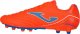 Joma Buty Joma Aguila 2408 FG AGUW2408FG 2
