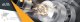 Vileda Folding saw TAJIMA G-SAW 210mm 9 TPI 11