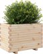 vidaXL vidaXL Donica ogrodowa, 70x40x49,5 cm, lite drewno sosnowe 4