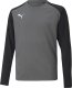 Puma Bluza bramkarska dla dzieci teamPACER GK LS Jersey szara 704939 43 164cm 1