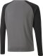 Puma Bluza bramkarska dla dzieci teamPACER GK LS Jersey szara 704939 43 164cm 1