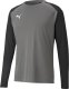 Puma Bluza bramkarska męska Puma teamPACER GK LS szara 704933 43 S 1