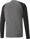 Puma Bluza bramkarska męska Puma teamPACER GK LS szara 704933 43 S 2