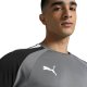 Puma Bluza bramkarska męska Puma teamPACER GK LS szara 704933 43 S 5