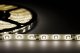 Taśma LED ECOLIGHT2 Eco Light EC79092 taśma LED 24W 4.8W/M LED 5M 4000K 200lm biała 11