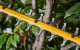Dewalt DEWALT NOŻYCE DO ŻYWOPŁOTU 54V FV DCMHT573X1 1x9,0Ah 65cm 31mm 6