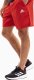 Adidas Spodenki męskie adidas Aeroready Essentials Chelsea Small Logo czerwone IC9394 L 1