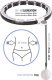HMS ZESTAW HULA HOP MAGNETYCZNY WHITE HHM16 Z LICZNIKIEM HMS + PAS BR163 BLACK PLUS SIZE 18