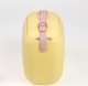 Lodówka turystyczna Polarbox Polarbox Cooler box 01.06CB-YE / Yellow-Rosa Baby 6L Yellow 5