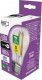 Emos Żarówka LED Emos Filament ZF5148 3,8W (60W) E27 A60 3000K biała ciepła 1