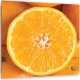 Feeby Obraz Deco Panel, Pomarańcza makro (Rozmiar 50x50) 1