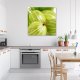 Feeby Obraz Deco Panel, Agrest makro (Rozmiar 30x30) 1