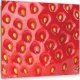 Feeby Obraz Deco Panel, Truskawka makro (Rozmiar 50x50) 1