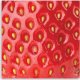 Feeby Obraz Deco Panel, Truskawka makro (Rozmiar 50x50) 2
