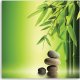 Feeby Obraz Deco Panel, Kamienie zen i bambus na zielonym tle (Rozmiar 60x60) 2