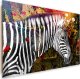 Feeby Obraz Deco Panel, Zebra na kolorowym tle (Rozmiar 120x80) 1