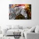 Feeby Obraz Deco Panel, Zebra na kolorowym tle (Rozmiar 120x80) 1