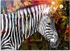 Feeby Obraz Deco Panel, Zebra na kolorowym tle (Rozmiar 120x80) 2