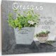 Feeby Obraz Deco Panel, Oregano przyprawy kuchenne (Rozmiar 60x60) 1