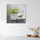 Feeby Obraz Deco Panel, Oregano przyprawy kuchenne (Rozmiar 60x60) 1