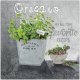 Feeby Obraz Deco Panel, Oregano przyprawy kuchenne (Rozmiar 60x60) 2