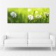 Feeby Obraz Deco Panel, Stokrotki w trawie 1-częściowy (Rozmiar 120x40) 1