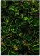 Feeby Obraz Deco Panel, Zielone liście egzotycznych roślin (Rozmiar 80x120) 3